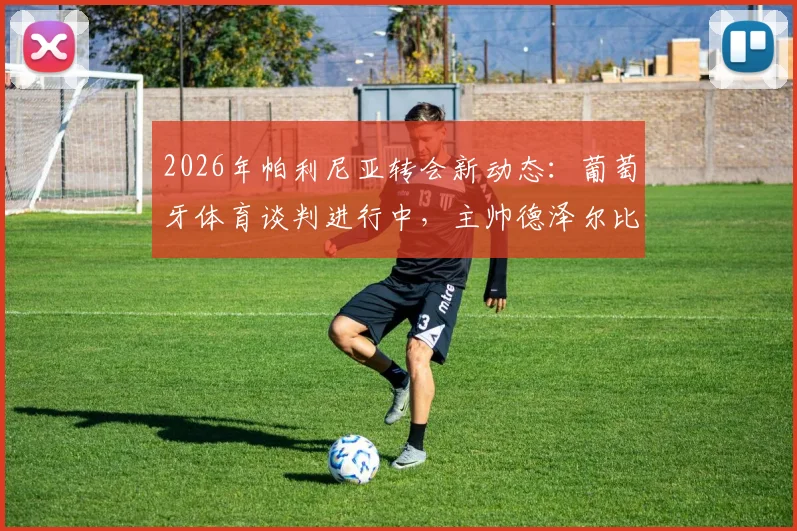 2026年帕利尼亚转会新动态：葡萄牙体育谈判进行中，主帅德泽尔比仍希望他留在热刺效力